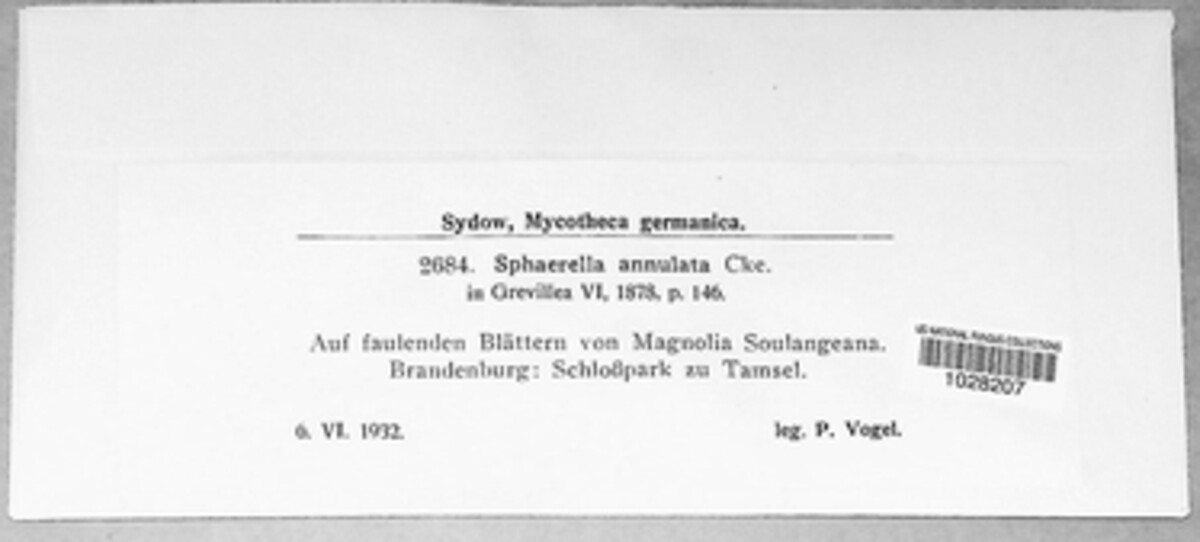 Mycosphaerella annulata image